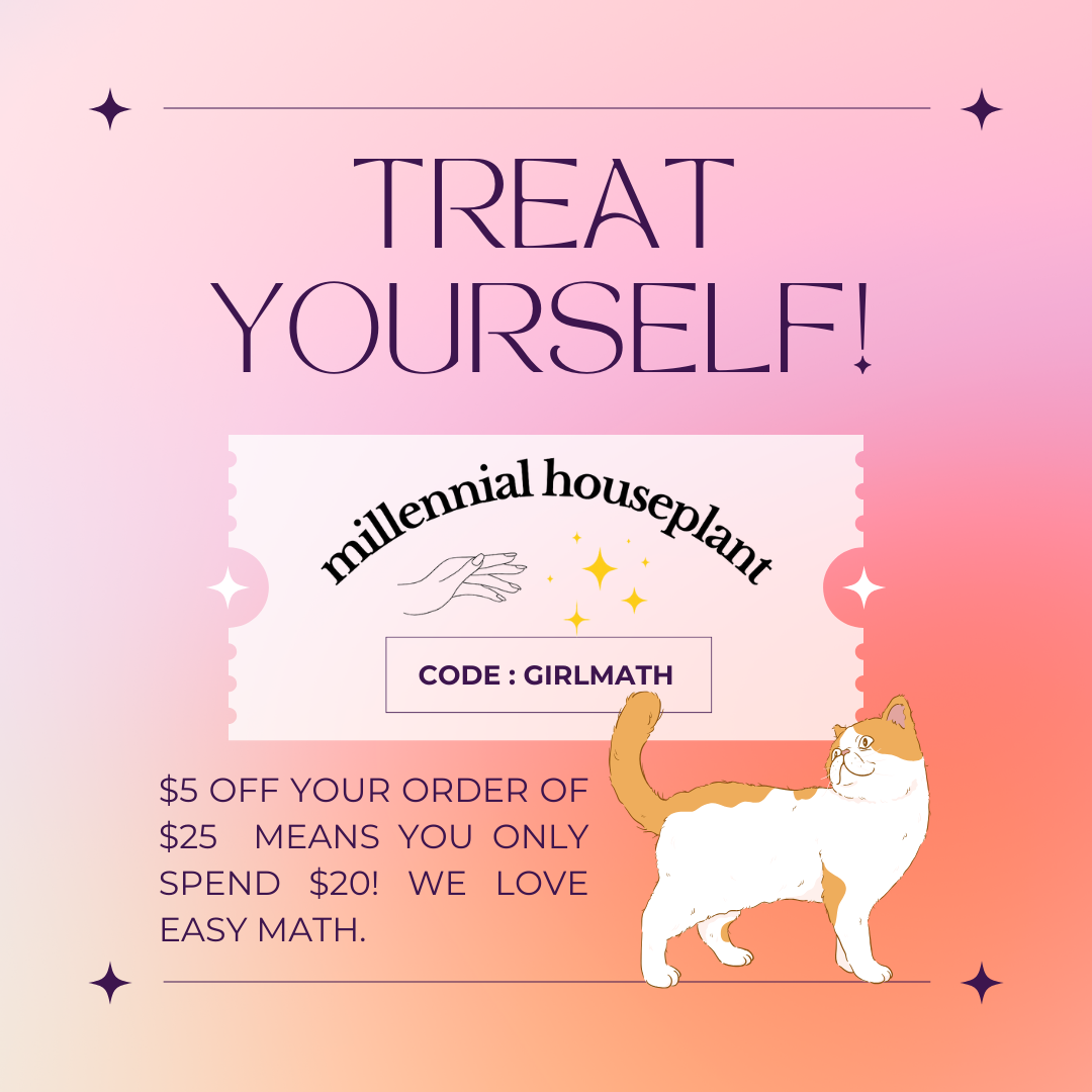 Treat Yourself to $5 off!